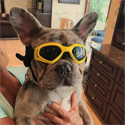 Dog Sunglasses